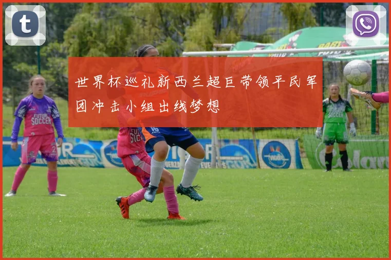 世界杯巡礼新西兰超巨带领平民军团冲击小组出线梦想