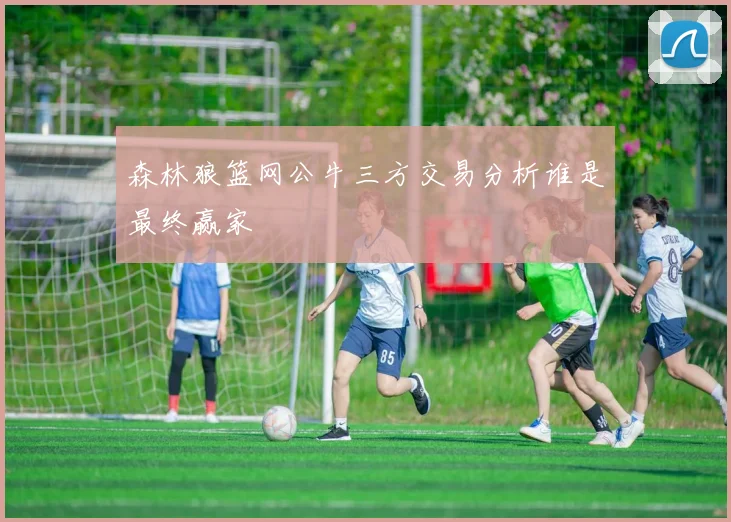 森林狼篮网公牛三方交易分析谁是最终赢家